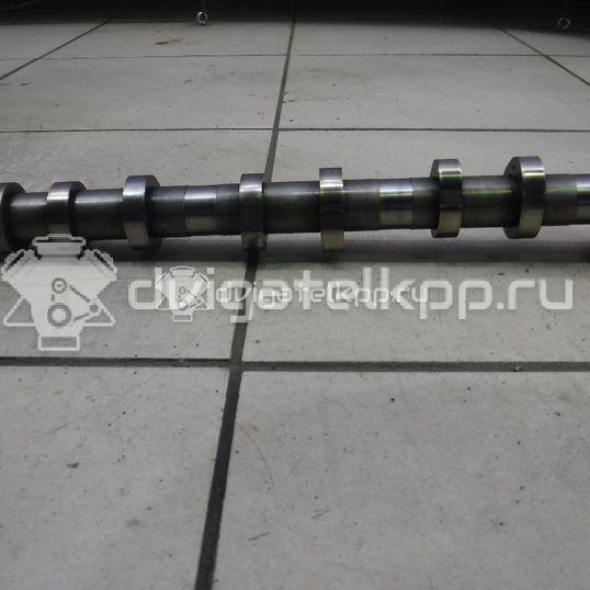 Фото Распредвал выпускной  059109009DJ для Volkswagen Touareg