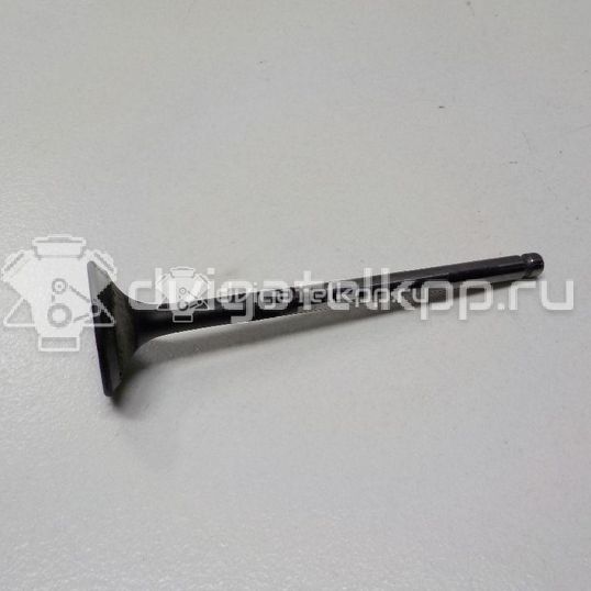 Фото Клапан выпускной  1371530030 для Toyota Dyna / Land Cruiser / Hilux