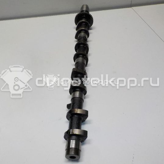 Фото Распредвал впускной  1350130060 для Toyota Dyna / Land Cruiser / Hiace / Hilux / Toyo Ace C Y2