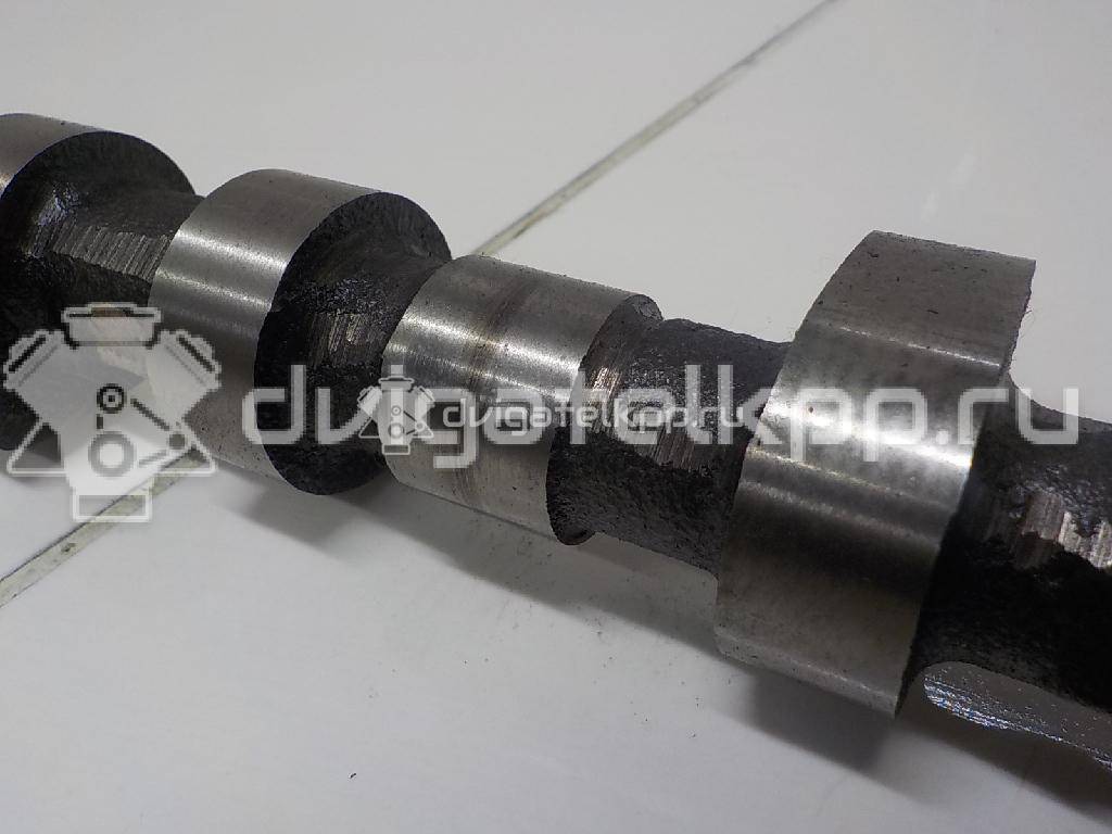 Фото Распредвал впускной для двигателя YD25DDTi для Nissan Bassara / Nv350 E26 / Serena / Sani / Presage 100-190 л.с 16V 2.5 л Дизельное топливо 130205M306 {forloop.counter}}