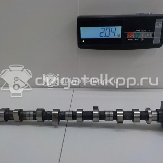 Фото Распредвал выпускной для двигателя YD25DDTi для Nissan Bassara / Nv350 E26 / Serena / Sani / Presage 100-190 л.с 16V 2.5 л Дизельное топливо 13020AU600