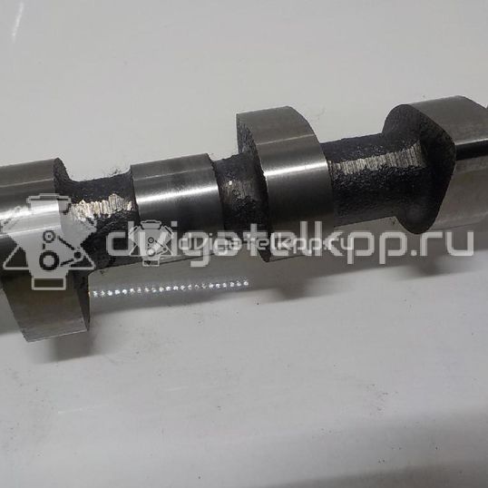 Фото Распредвал выпускной для двигателя YD25DDTi для Nissan Bassara / Nv350 E26 / Serena / Sani / Presage 100-190 л.с 16V 2.5 л Дизельное топливо 13020AU600