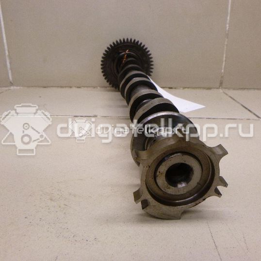 Фото Распредвал впускной для двигателя V9X для Nissan Np300 / Pathfinder 231-238 л.с 24V 3.0 л Дизельное топливо 1302000Q0E