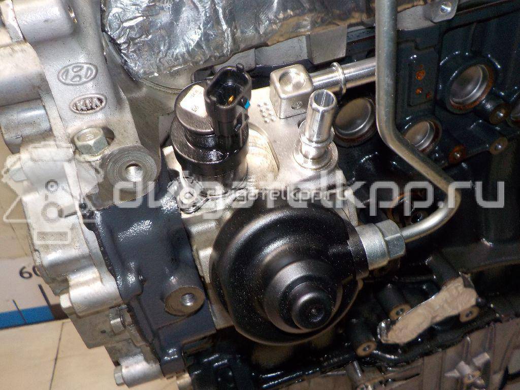 Фото Контрактный (б/у) двигатель D4HB для Hyundai / Kia 197-203 л.с 16V 2.2 л Дизельное топливо 1F2412FH00 {forloop.counter}}