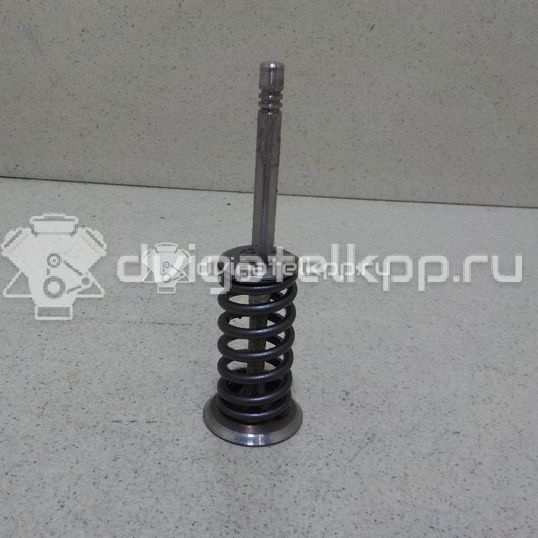 Фото Клапан выпускной для двигателя CFNA для Skoda / Volkswagen 105 л.с 16V 1.6 л бензин 03C109612