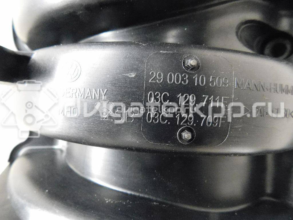 Фото Коллектор впускной для двигателя BLF для Skoda Octavia / Octaviaii 1Z3 115 л.с 16V 1.6 л бензин 03C129711F {forloop.counter}}