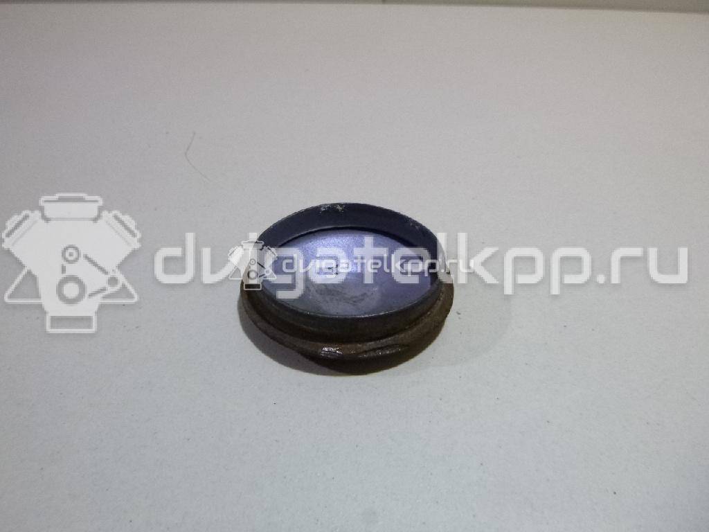 Фото Колпачок ступицы  8200649356 для Renault 11 / Megane / Clio / 19 / Laguna {forloop.counter}}