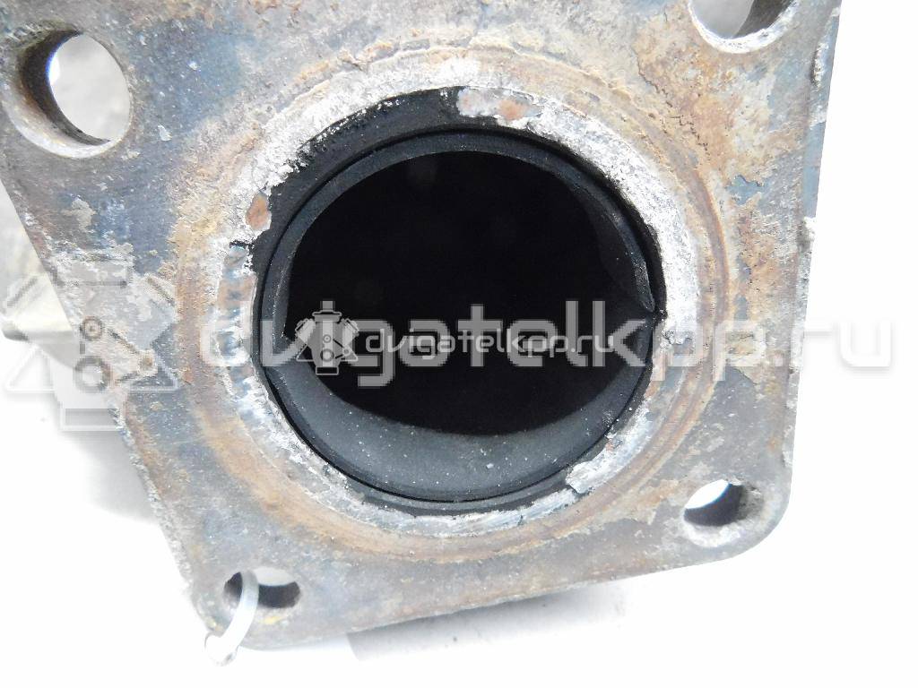 Фото Коллектор выпускной для двигателя BLF для Volkswagen Passat / Eos 1F7, 1F8 / Jetta / Golf 115 л.с 16V 1.6 л бензин 03C253031G {forloop.counter}}