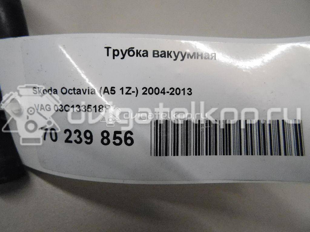 Фото Трубка вакуумная для двигателя BLF для Volkswagen Passat / Eos 1F7, 1F8 / Jetta / Golf 115 л.с 16V 1.6 л бензин 03C133518P {forloop.counter}}