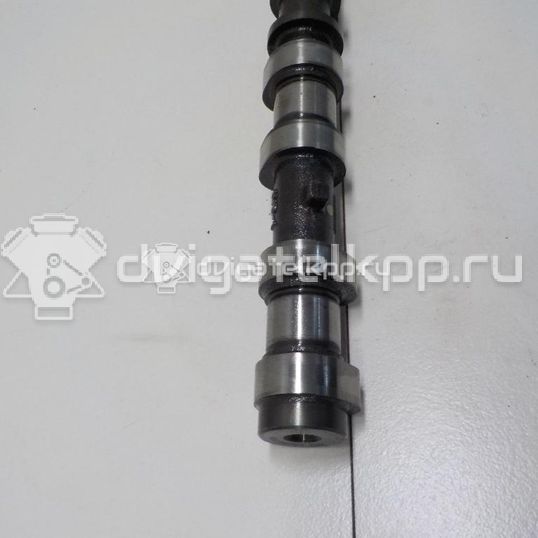 Фото Распредвал впускной для двигателя 1VD-FTV для Toyota Land Cruiser 205-286 л.с 32V 4.5 л Дизельное топливо 1350151010