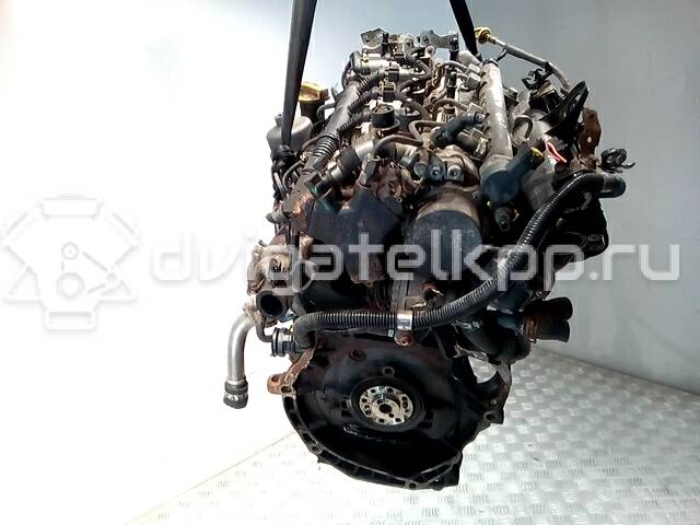 Фото Контрактный (б/у) двигатель Z 13 DTJ для Maruti Suzuki / Opel / Chevrolet / Vauxhall 75 л.с 16V 1.2 л Дизельное топливо {forloop.counter}}