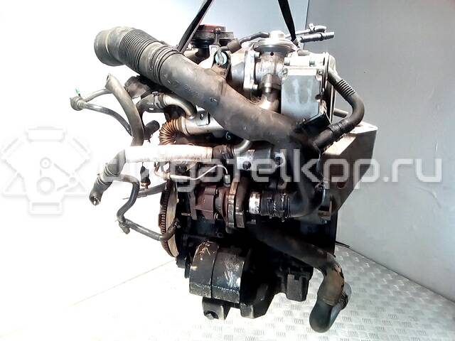 Фото Контрактный (б/у) двигатель AMF для Volkswagen Polo / Lupo 6X1, 6E1 75 л.с 6V 1.4 л Дизельное топливо {forloop.counter}}