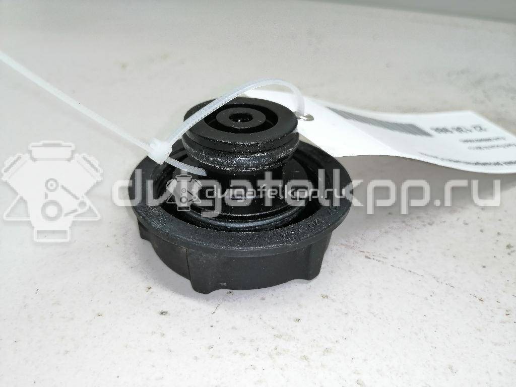 Фото Крышка расширительного бачка  3M5H8100AD для Ford Fiesta / Focus / Tourneo / C-Max / Ka {forloop.counter}}