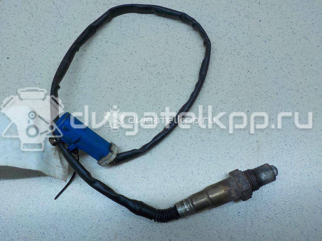 Фото Датчик кислородный/Lambdasonde  6G919G444AA для Ford Fiesta / Focus / Tourneo / Granada / Scorpio {forloop.counter}}