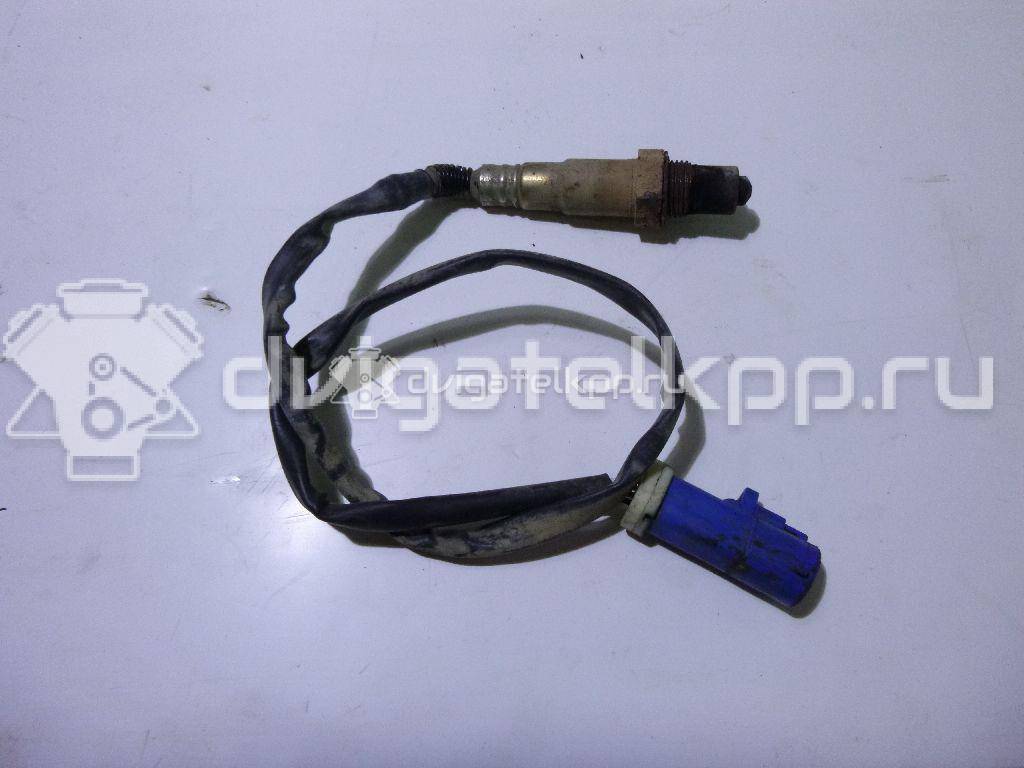 Фото Датчик кислородный/Lambdasonde  6G919G444AA для Ford Fiesta / Focus / Tourneo / Granada / Scorpio {forloop.counter}}