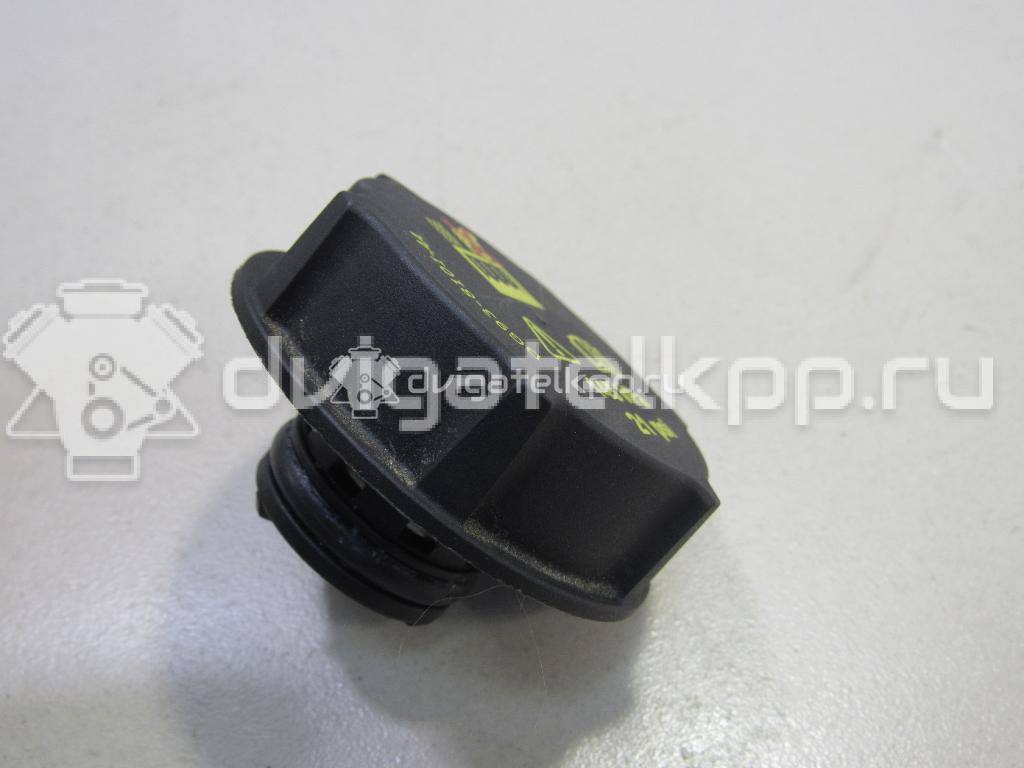 Фото Крышка расширительного бачка  DG938101AA для Ford Fiesta / Focus / Tourneo / C-Max / Ka {forloop.counter}}