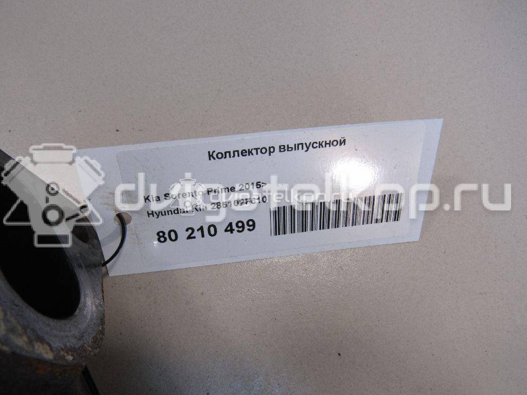 Фото Коллектор выпускной для двигателя D4HB для Hyundai / Kia 150-203 л.с 16V 2.2 л Дизельное топливо 285102F610 {forloop.counter}}