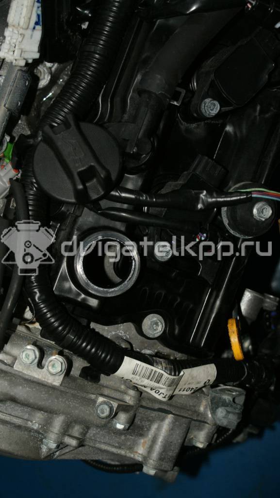 Фото Контрактный (б/у) двигатель VQ35DE для Nissan (Dongfeng) Teana 231-310 л.с 24V 3.5 л бензин {forloop.counter}}