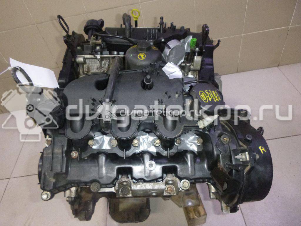 Фото Контрактный (б/у) двигатель 276DT для Land Rover Range Rover / Discovery 190 л.с 24V 2.7 л Дизельное топливо LR004729 {forloop.counter}}