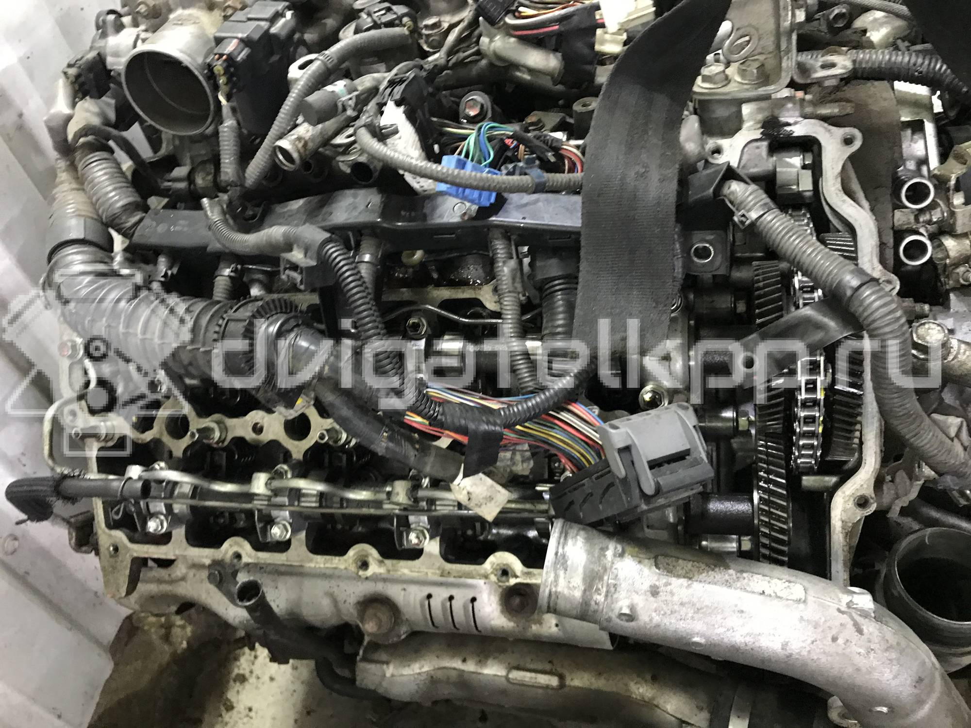 Фото Контрактный (б/у) двигатель 1VD-FTV для Toyota Land Cruiser 205-286 л.с 32V 4.5 л Дизельное топливо {forloop.counter}}