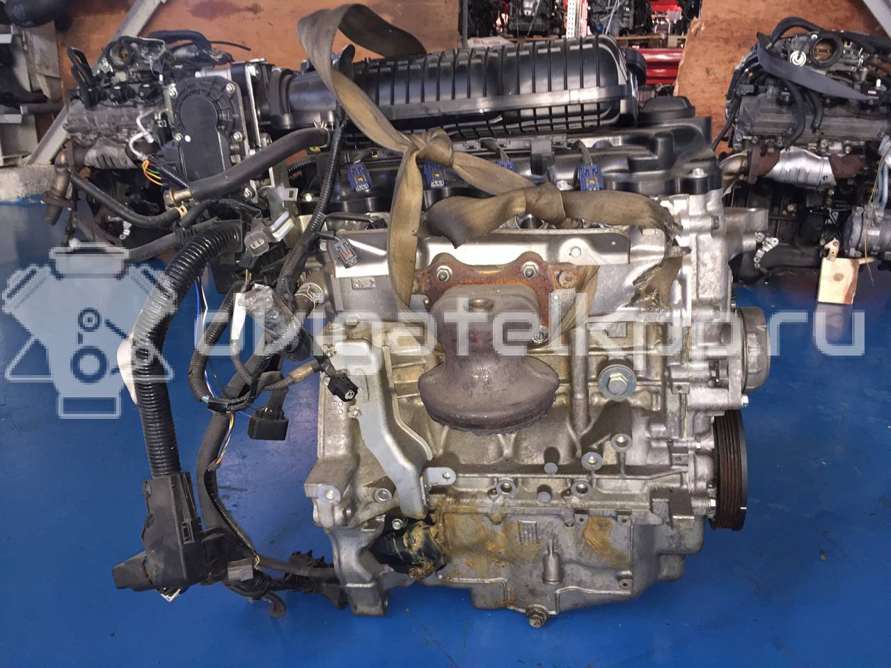 Фото Контрактный (б/у) двигатель L15A для Honda Jazz 110-120 л.с 16V 1.5 л бензин {forloop.counter}}