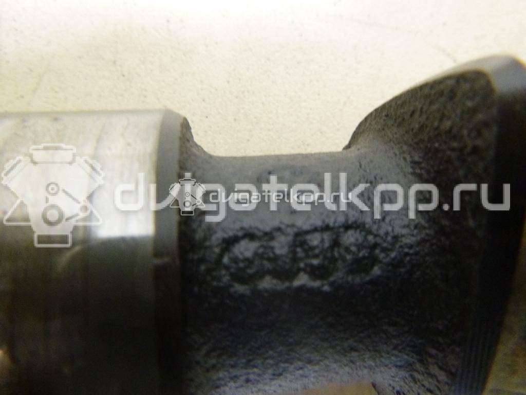 Фото Распредвал для двигателя 1F для Volkswagen / Seat 71-75 л.с 8V 1.6 л бензин 026109101M {forloop.counter}}