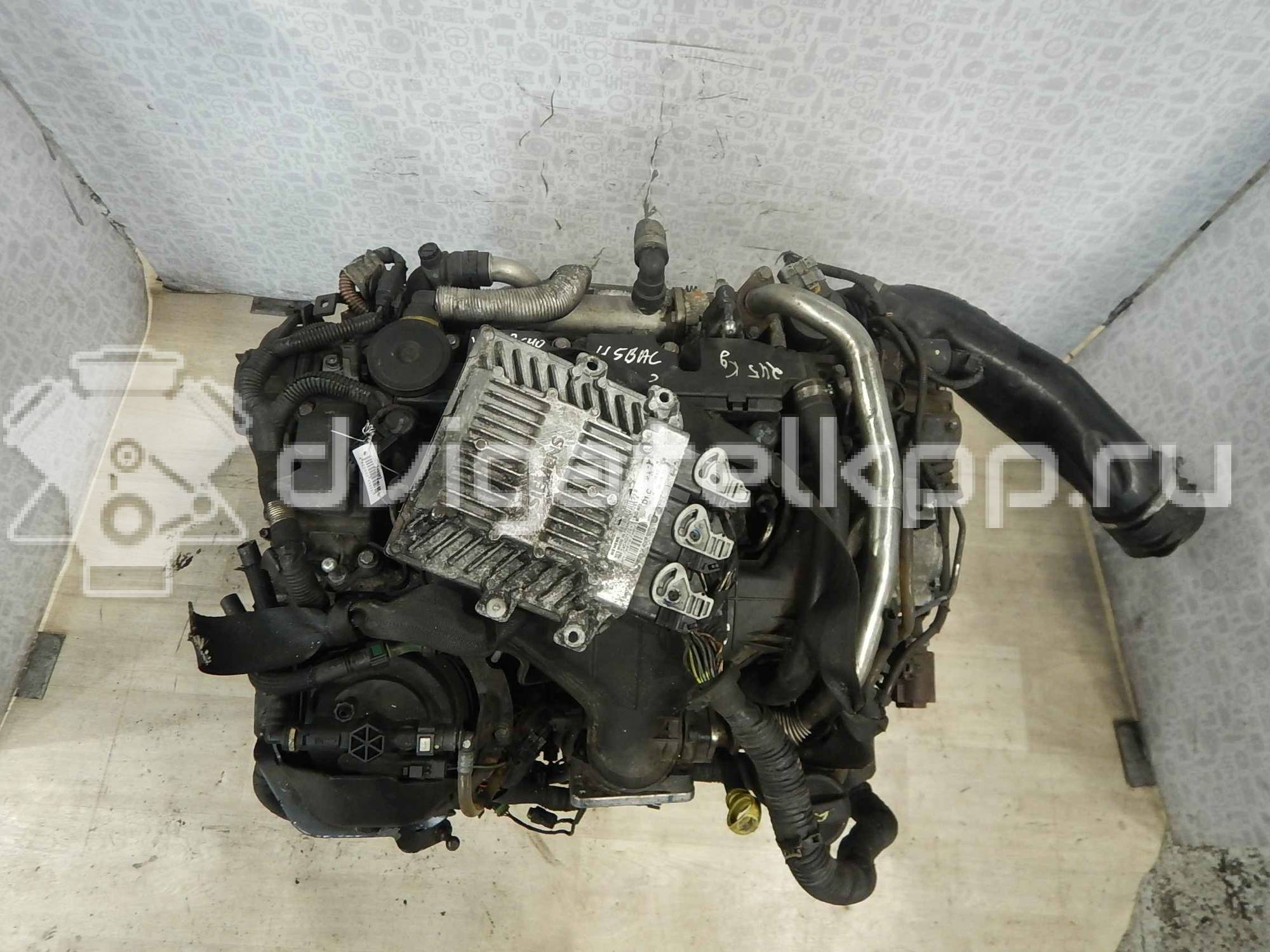 Фото Контрактный (б/у) двигатель D 4204 T для Volvo V50 Mw / C70 / V70 / C30 / S40 136 л.с 16V 2.0 л Дизельное топливо {forloop.counter}}