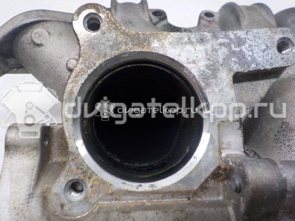 Фото Коллектор впускной для двигателя BMM для Skoda Octavia / Octaviaii 1Z3 140 л.с 8V 2.0 л Дизельное топливо 03G129713K {forloop.counter}}