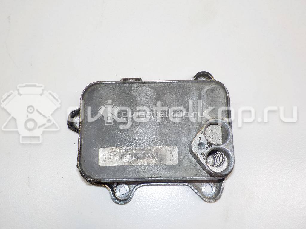 Фото Радиатор масляный для двигателя BLF для Volkswagen Passat / Eos 1F7, 1F8 / Jetta / Golf 115 л.с 16V 1.6 л бензин 03C117021E {forloop.counter}}