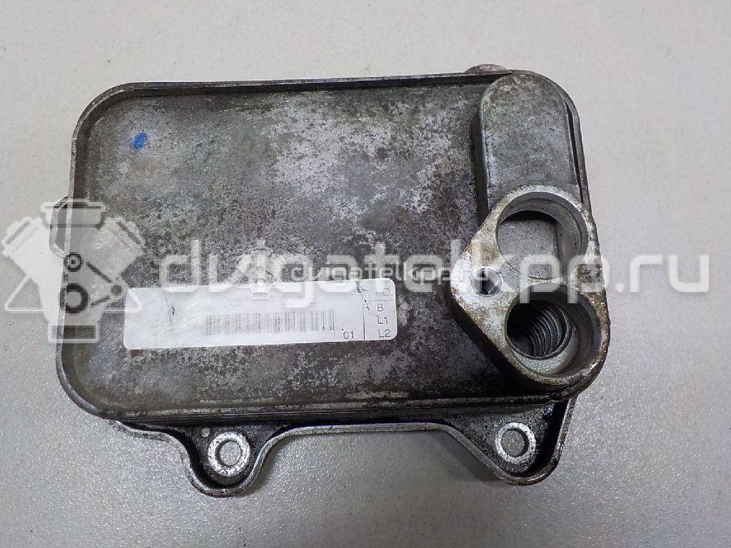 Фото Радиатор масляный для двигателя BLF для Volkswagen Passat / Eos 1F7, 1F8 / Jetta / Golf 115 л.с 16V 1.6 л бензин 03C117021E {forloop.counter}}