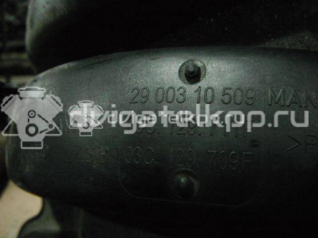 Фото Коллектор впускной для двигателя BLF для Volkswagen Passat / Eos 1F7, 1F8 / Jetta / Golf 115 л.с 16V 1.6 л бензин 03C129711F {forloop.counter}}