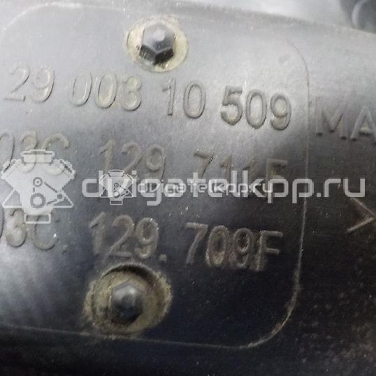 Фото Коллектор впускной для двигателя BLF для Volkswagen Passat / Eos 1F7, 1F8 / Jetta / Golf 115 л.с 16V 1.6 л бензин 03C129711F