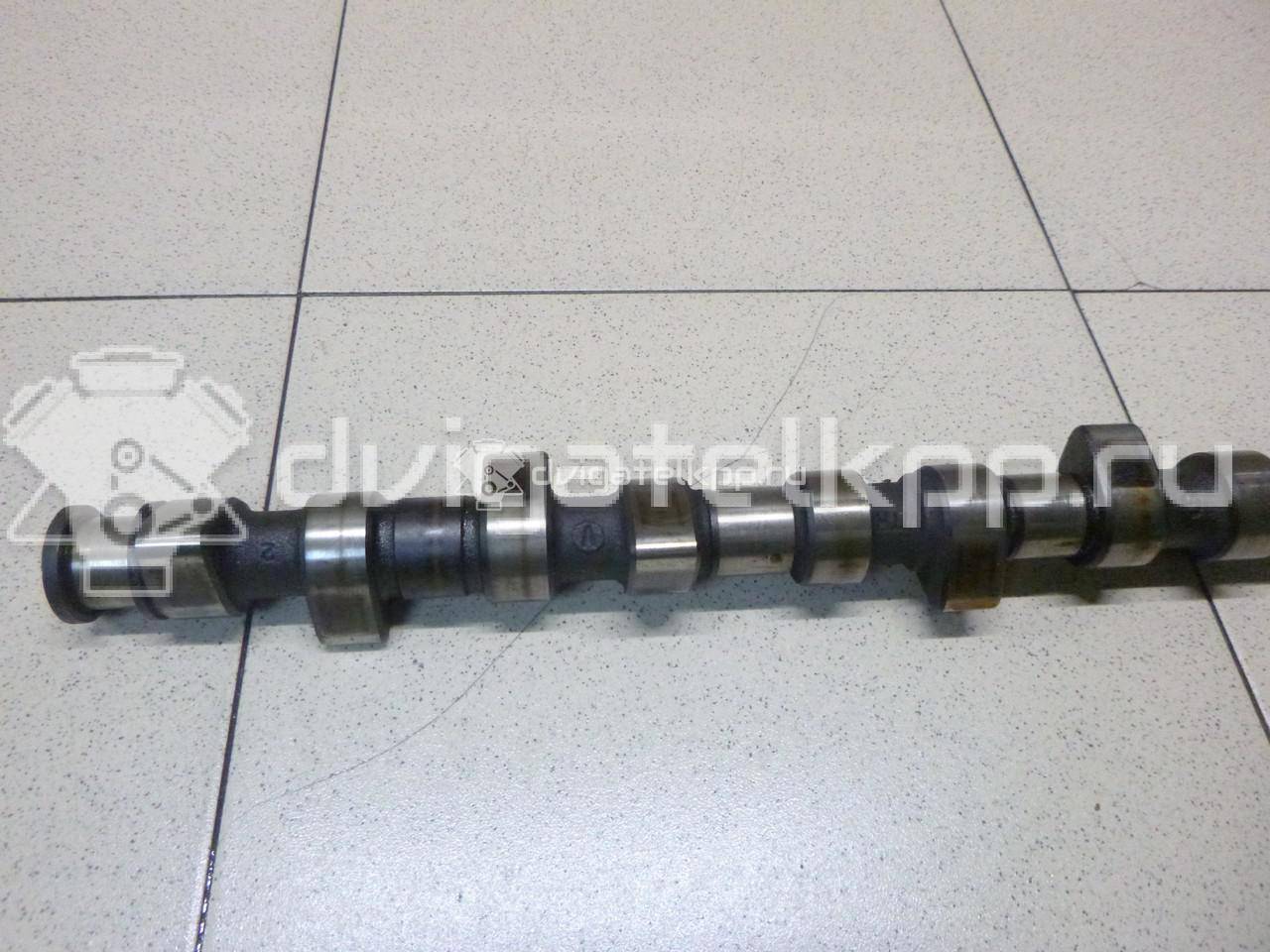 Фото Распредвал для двигателя 1F для Volkswagen Passat / Saveiro / Polo / Caddy 72 л.с 8V 1.6 л бензин 026109101M {forloop.counter}}