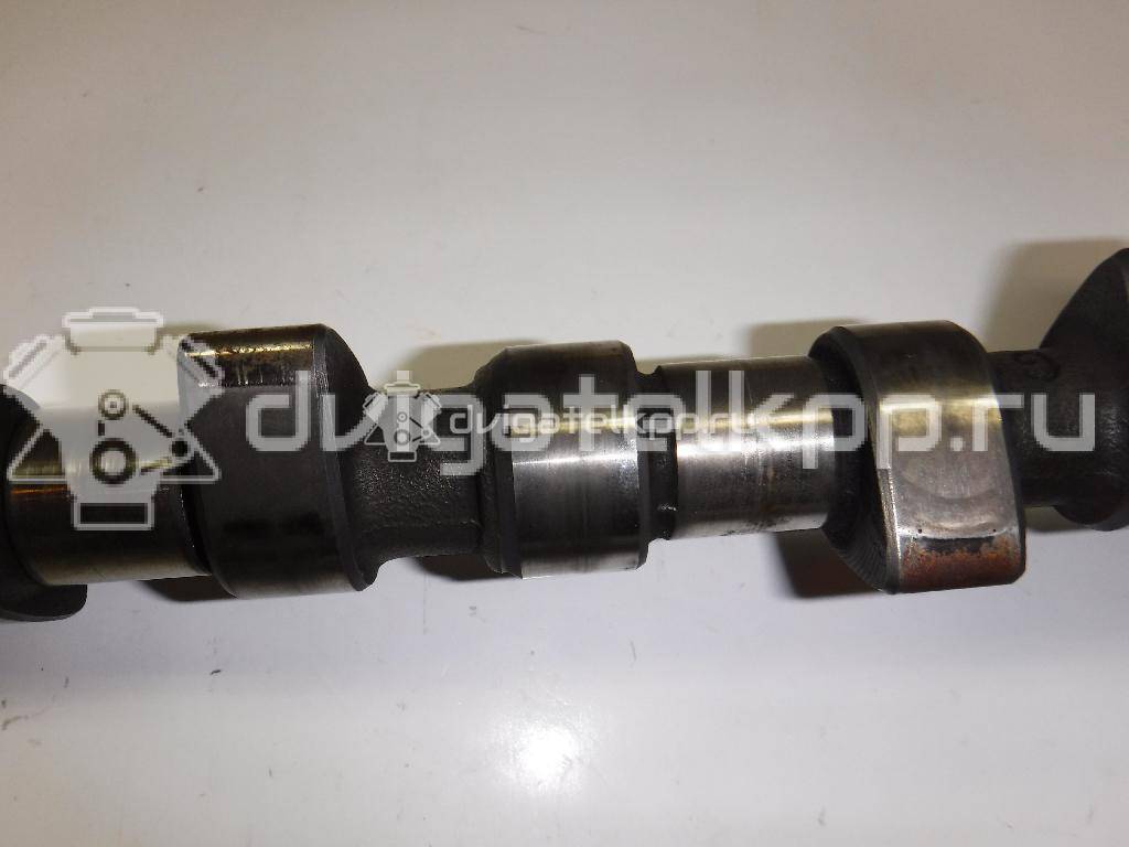 Фото Распредвал для двигателя 1F для Volkswagen Passat / Saveiro / Polo / Caddy 72 л.с 8V 1.6 л бензин 026109101M {forloop.counter}}