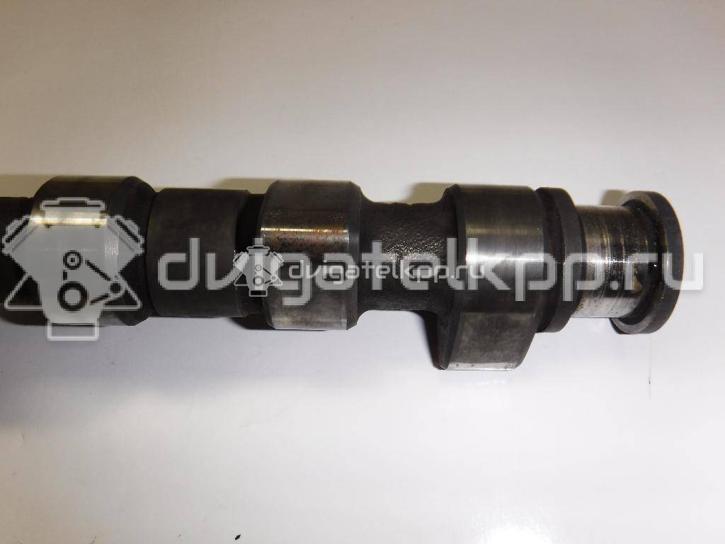 Фото Распредвал для двигателя 1F для Volkswagen Passat / Saveiro / Polo / Caddy 72 л.с 8V 1.6 л бензин 026109101M {forloop.counter}}