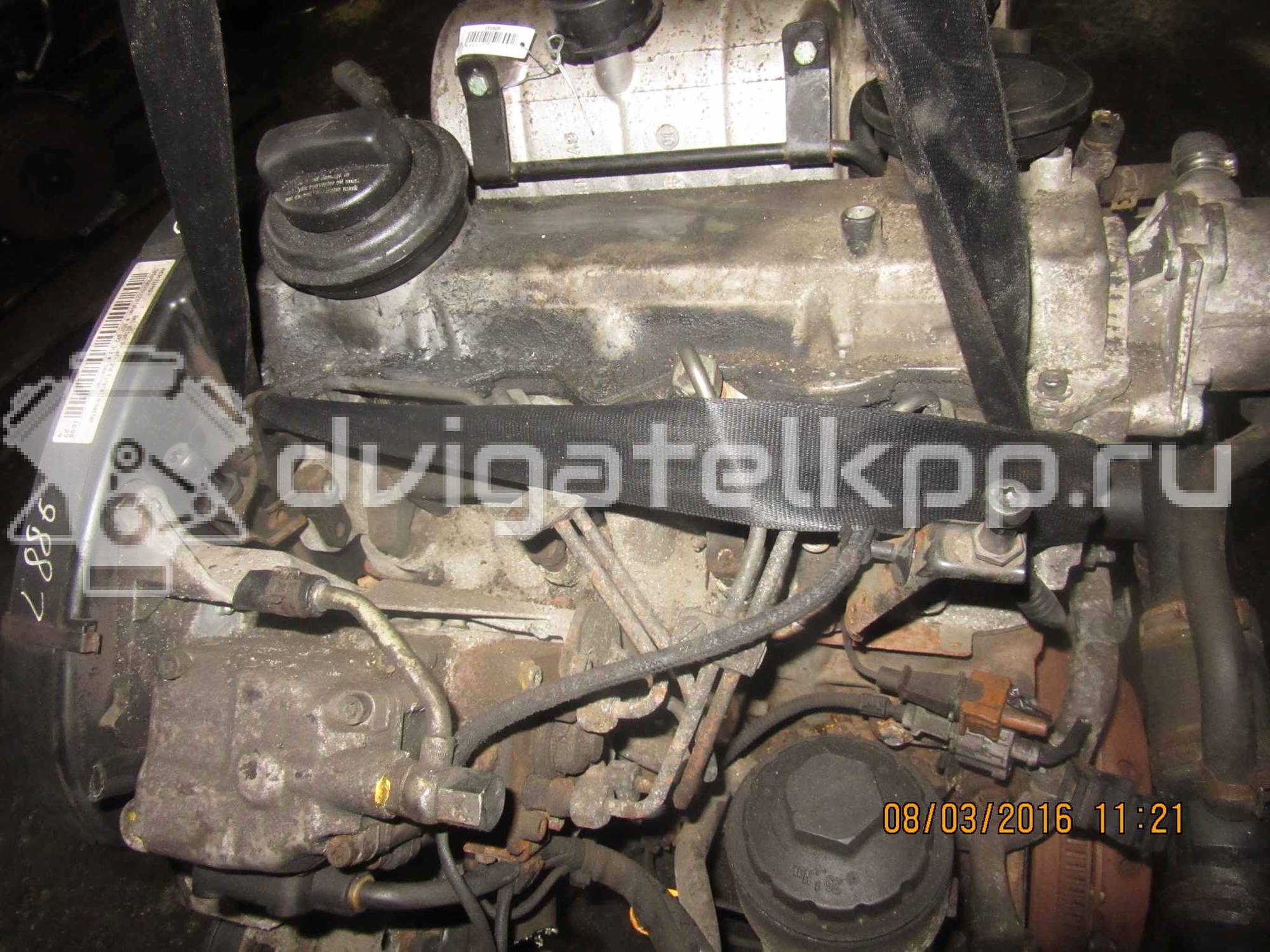 Фото Контрактный (б/у) двигатель ASY для Volkswagen Polo / Spacefox Space Cross / Fox 5Z1, 5Z3 64 л.с 8V 1.9 л Дизельное топливо * {forloop.counter}}