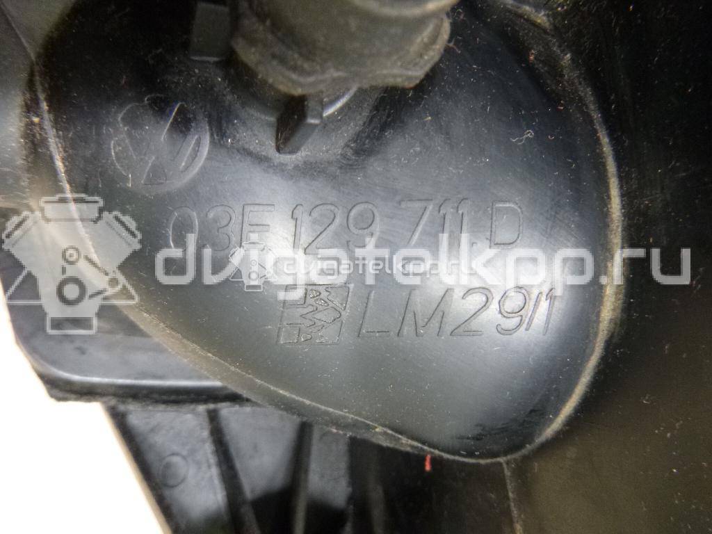 Фото Коллектор впускной для двигателя BZG для Volkswagen Polo 69 л.с 12V 1.2 л бензин 03E129711D {forloop.counter}}