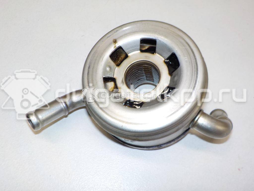 Фото Радиатор масляный для двигателя 2UZ-FE для Toyota Land Cruiser / Tundra , / 4 / Sequoia 233-288 л.с 32V 4.7 л бензин 1571050070 {forloop.counter}}