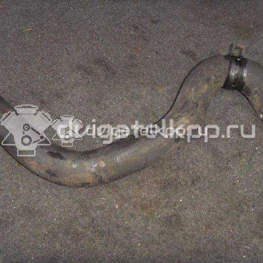 Фото Патрубок радиатора  1351EW для Peugeot 206