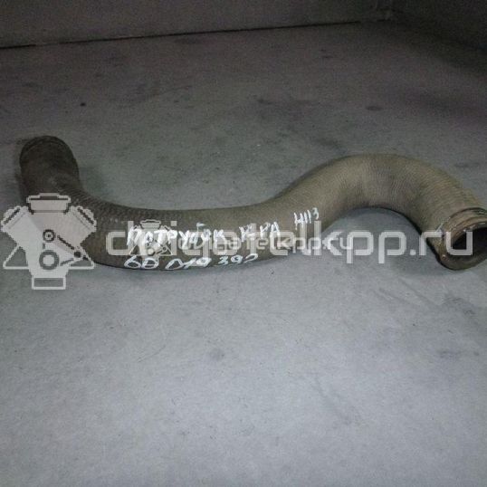 Фото Патрубок радиатора  1351EW для Peugeot 206