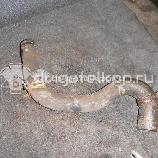 Фото Патрубок радиатора  1351EW для Peugeot 206