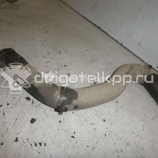 Фото Патрубок радиатора  1351EW для Peugeot 206