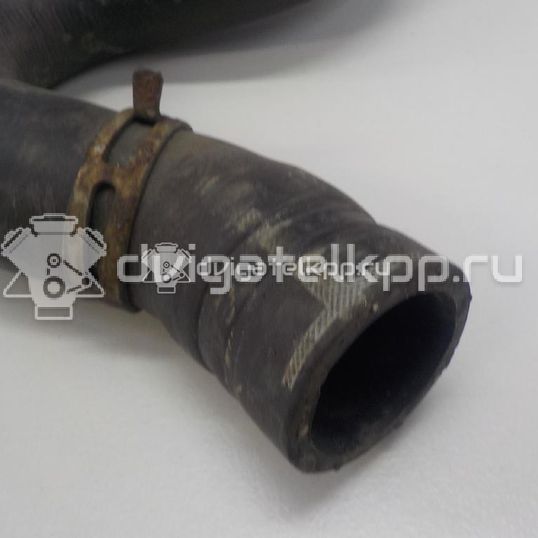 Фото Патрубок радиатора  1343HX для Peugeot 307 / 206