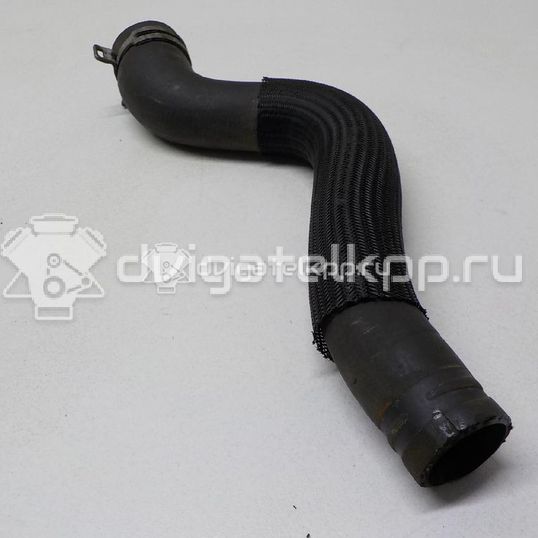 Фото Патрубок радиатора  1343lp для citroen Berlingo (NEW) (B9)