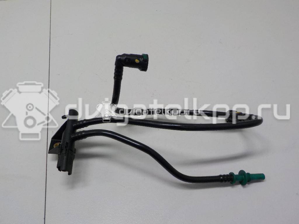 Фото Трубка топливная для двигателя RHY (DW10TD) для Citroen Berlingo / Xantia / C5 / Xsara 90 л.с 8V 2.0 л Дизельное топливо 1579GE {forloop.counter}}