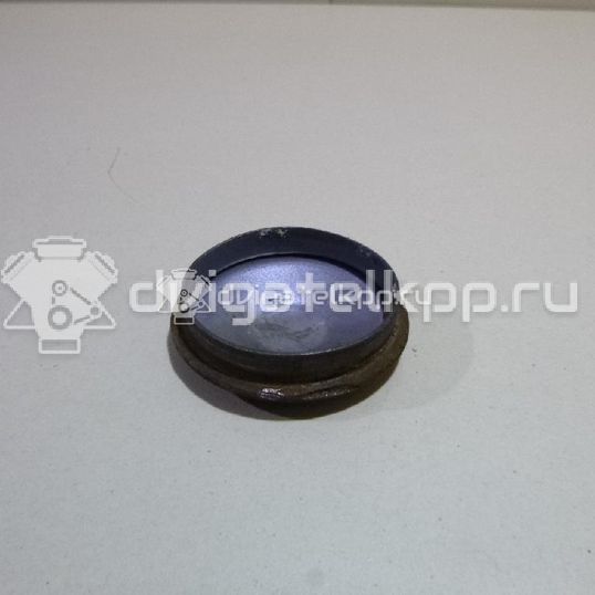 Фото Колпачок ступицы  8200649356 для Renault 11 / Megane / Clio / 19 / Laguna