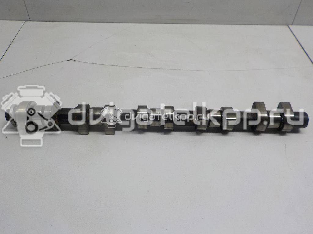 Фото Распредвал для двигателя F16D3 для Daewoo Nubira / Nexia / Lacetti Klan 105-109 л.с 16V 1.6 л бензин 96182606 {forloop.counter}}