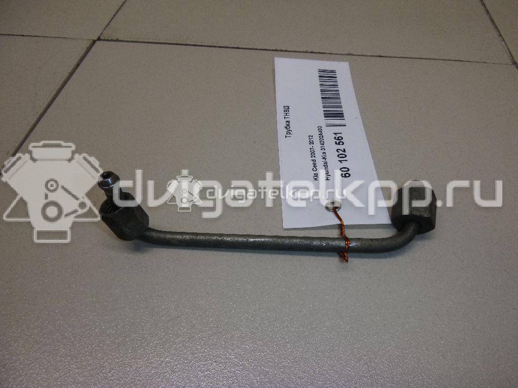 Фото Трубка ТНВД для двигателя D4FD для Hyundai Tucson / Ix35 Lm, El, Elh / I40 Vf 116-141 л.с 16V 1.7 л Дизельное топливо 314202A400 {forloop.counter}}