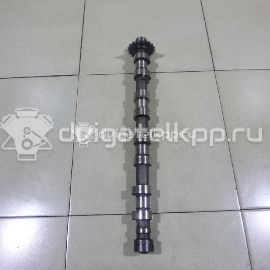 Фото Распредвал впускной для двигателя 224DT для Land Rover Freelander / Range Rover / Discovery 150-190 л.с 16V 2.2 л Дизельное топливо LR021913