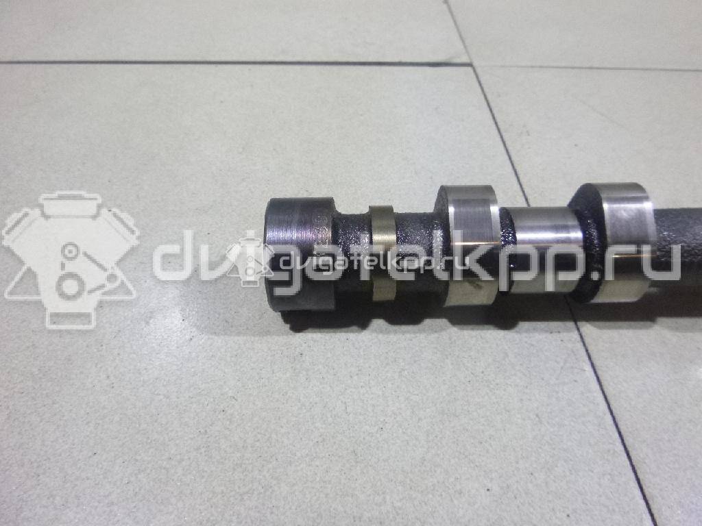 Фото Распредвал впускной для двигателя 224DT для Land Rover Freelander / Range Rover / Discovery 150-190 л.с 16V 2.2 л Дизельное топливо LR021913 {forloop.counter}}